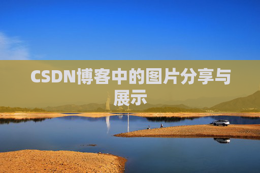 CSDN博客中的图片分享与展示